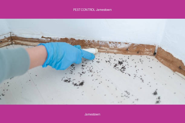 PEST CONTROL Jamestown